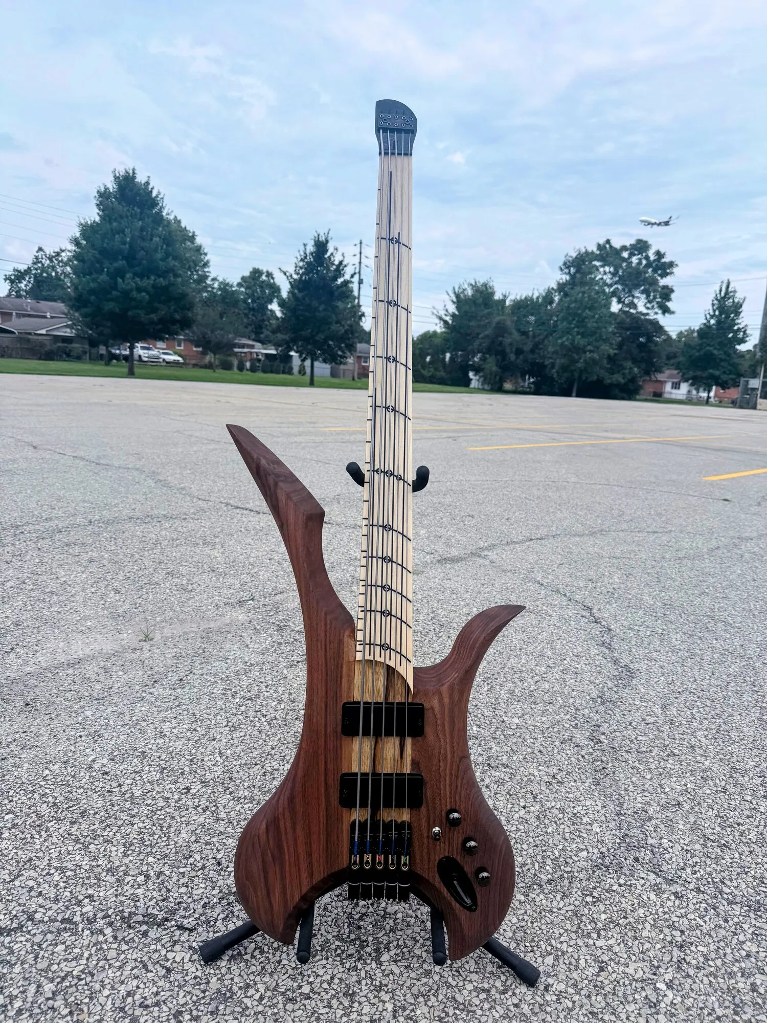 Lucidity The Growler