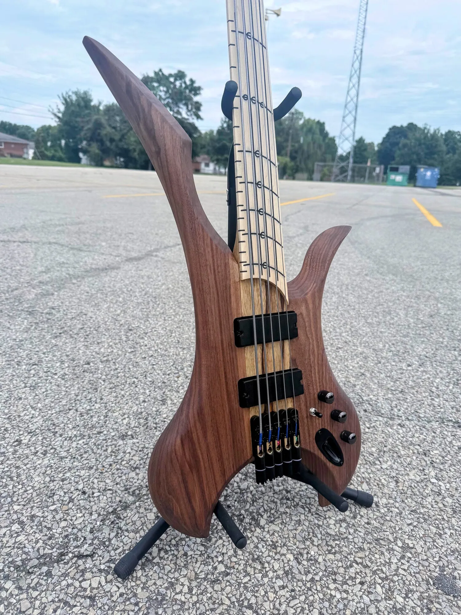 Lucidity The Growler